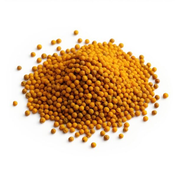 Mustard Seed