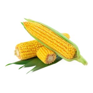 Yellow Corn